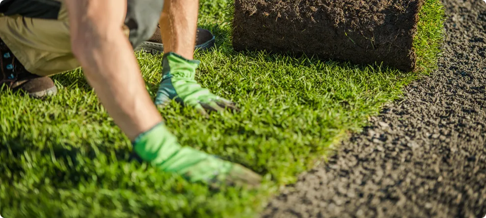 Instant Lawn